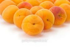 apricot on white background 이미지 (477443471) - 게티이미지뱅크 apricot on white background