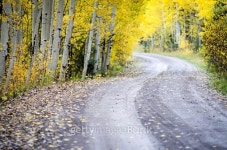 mystery autumn road 이미지 (523577811) - 게티이미지뱅크 mystery autumn road