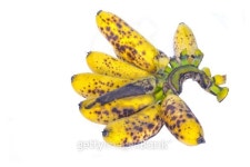 bunch of old banana isolate on white background 이미지 (478981859) - 게티이미지뱅크 bunch of old banana isolate on white... 