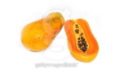 papaya 이미지 (510042919) - 게티이미지뱅크 papaya