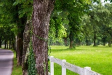 road with trees and white fence 이미지 (526600009) - 게티이미지뱅크 road with trees and white fence