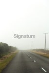 Country Road 이미지 (516465353) - 게티이미지뱅크 Country Road
