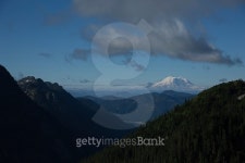 Mt. Rainier - 1 이미지 (513731065) - 게티이미지뱅크 Mt. Rainier - 1