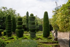 Decorative green park 이미지 (492905707) - 게티이미지뱅크 Decorative green park