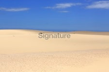 Sand Dune 이미지 (499518405) - 게티이미지뱅크 Sand Dune