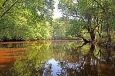 River ROPOTAMO in Bulgaria 이미지 (491893009) - 게티이미지뱅크 River ROPOTAMO in Bulgaria