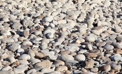 Pebble beach 이미지 (517185279) - 게티이미지뱅크 Pebble beach