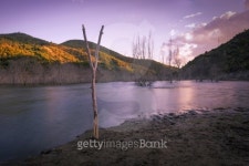 el rio 이미지 (506973485) - 게티이미지뱅크 el rio