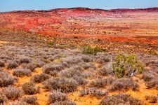 Yellow Orange Red Painted Desert Arches National Park Moab Utah 이미지 (466253491) - 게티이미지뱅크 Yellow Orange Red... 