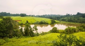Lake,Khao Yai National Park Thailand 이미지 (462831723) - 게티이미지뱅크 Lake,Khao Yai National Park Thailand
