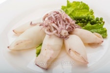 Boiled squid 이미지 (492963711) - 게티이미지뱅크 Boiled squid