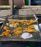 Dry fish in Hong Kong island 이미지 (505395879) - 게티이미지뱅크 Dry fish in Hong Kong island