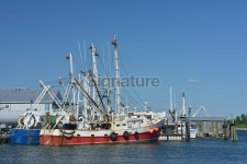 Fishing Boats at Bay 이미지 (497619167) - 게티이미지뱅크 Fishing Boats at Bay