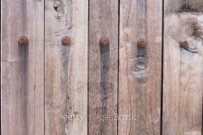 backgrounds Wooden wall 이미지 (503700237) - 게티이미지뱅크 backgrounds Wooden wall