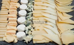 Cheese table. 이미지 (523355501) - 게티이미지뱅크 Cheese table.