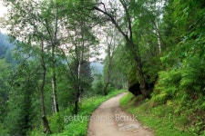Path for hiking on a mountain slope Sinyuha. 이미지 (480152207) - 게티이미지뱅크 Path for hiking on a mountain slope Sinyuha.