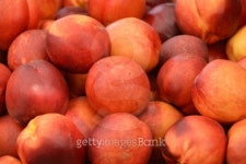 Peach 이미지 (511889199) - 게티이미지뱅크 Peach