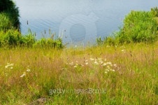 Agrigulture in Munsterland 이미지 (487852171) - 게티이미지뱅크 Agrigulture in Munsterland