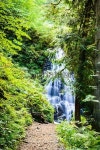 Trail leading to a waterfall -XXXL 이미지 (514461453) - 게티이미지뱅크 Trail leading to a waterfall -XXXL