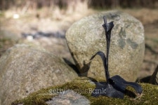 Metal_Tulip 이미지 (485617211) - 게티이미지뱅크 Metal_Tulip