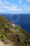 Bluff trail view of Makapuu Lighthouse 이미지 (489194685) - 게티이미지뱅크 Bluff trail view of Makapuu Lighthouse