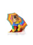 Appraising the weather 이미지 (479972043) - 게티이미지뱅크 Appraising the weather