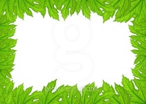 Leaf Border Frame 이미지 (513954919) - 게티이미지뱅크 Leaf Border Frame