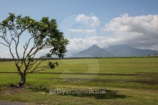 Turf Farm 이미지 (469728097) - 게티이미지뱅크 Turf Farm