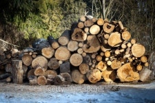 Pile of timber wood 이미지 (475613857) - 게티이미지뱅크 Pile of timber wood