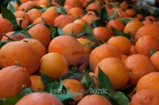 hundreds of oranges 이미지 (474488571) - 게티이미지뱅크 hundreds of oranges