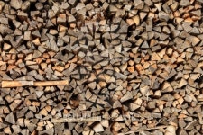 tree trunks organized 이미지 (487568281) - 게티이미지뱅크 tree trunks organized