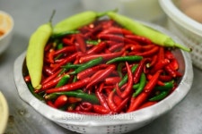 Chilli 이미지 (494811013) - 게티이미지뱅크 Chilli