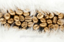 Golden cafe - coffee beans 이미지 (487022713) - 게티이미지뱅크 Golden cafe - coffee beans