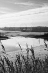River Alde 이미지 (479386679) - 게티이미지뱅크 River Alde