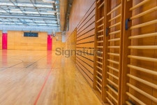 Red Sports Hall with Metal Roof 이미지 (515808361) - 게티이미지뱅크 Red Sports Hall with Metal Roof