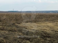 Image of early spring 이미지 (516351719) - 게티이미지뱅크 Image of early spring