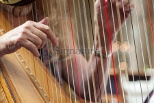 Woman playing harp 이미지 (517137527) - 게티이미지뱅크 Woman playing harp