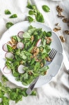 Lambs lettuce salad with walnuts and radish 이미지 (488646934) - 게티이미지뱅크 Lambs lettuce salad with walnuts and radish