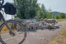 ViaRhÃ´na cycle route 이미지 (478554400) - 게티이미지뱅크 ViaRhÃ´na cycle route