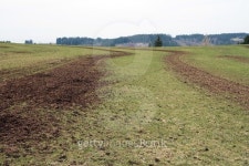 farmer has a field fertilized with manure 이미지 (491152544) - 게티이미지뱅크 farmer has a field fertilized with manure