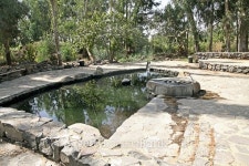 Eden Water Park 이미지 (492958894) - 게티이미지뱅크 Eden Water Park