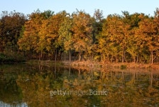 Fishing lake on a sunny autumn day 이미지 (470624346) - 게티이미지뱅크 Fishing lake on a sunny autumn day