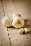 Garlic 이미지 (491061094) - 게티이미지뱅크 Garlic