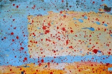 Cat 이미지 (464480558) - 게티이미지뱅크 Cat