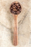 Spoon with roasted coffee beans. 이미지 (502038638) - 게티이미지뱅크 Spoon with roasted coffee beans.