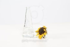 faded flower 이미지 (490426602) - 게티이미지뱅크 faded flower