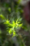 green background 이미지 (482483060) - 게티이미지뱅크 green background