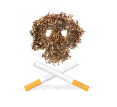 The pattern of the skull of tobacco 이미지 (493025448) - 게티이미지뱅크 The pattern of the skull of tobacco