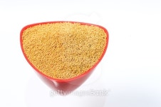 yellow mustard seeds in red bowl isolated on white background 이미지 (492740826) - 게티이미지뱅크 yellow mustard seeds in... 
