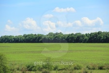 green field 이미지 (478022248) - 게티이미지뱅크 green field